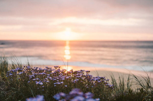 sunrise over the sea representing clarity