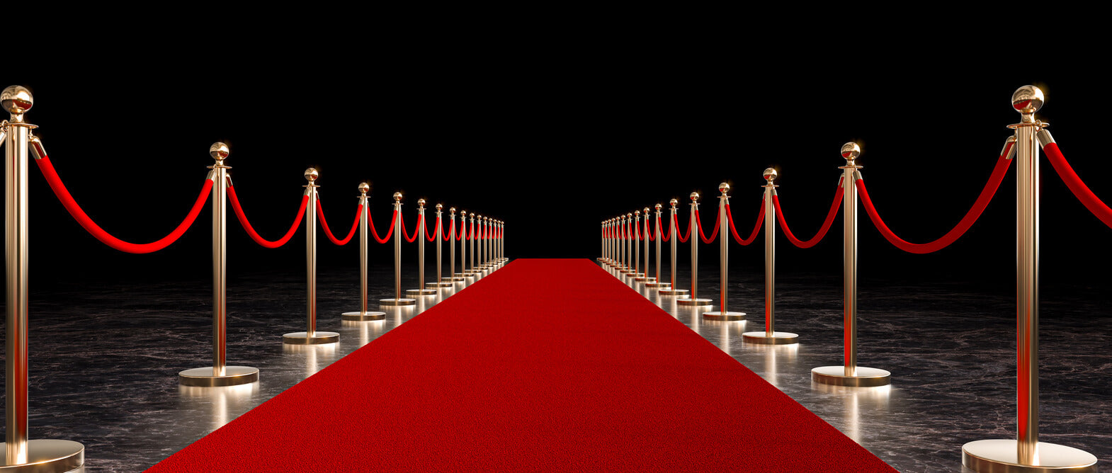 Red carpet VIP barriers